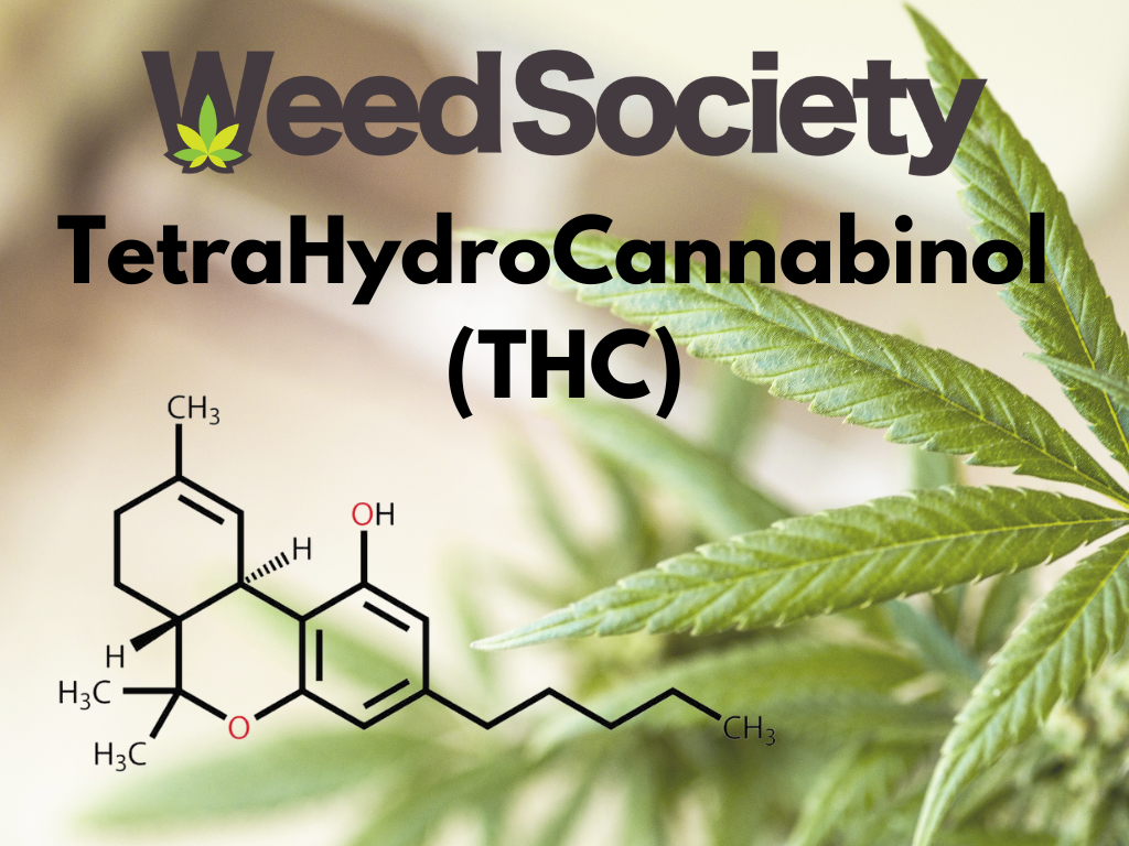 WeedSociety Article on THC, Chemical Structure of THC graphic