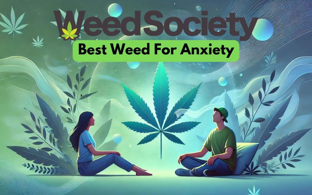 Best Weed for Anxiety: A Comprehensive Guide