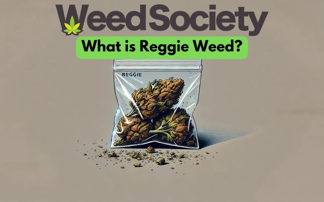 What is Reggie Weed?